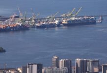 Mercosur: SPD wirft Grünen Dummheit und Instinktlosigkeit vor