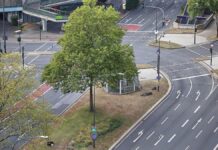 Siedlungs- und Verkehrsfläche wächst wieder etwas langsamer
