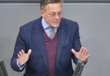 Grüne drängen nach Brandanschlag auf umfangreiche Ermittlungen