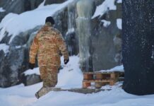 Nato startet konkrete Planungen für Mission "Arctic Sentry"