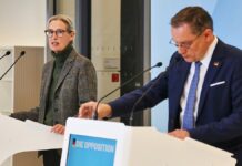 Politbarometer: AfD büßt ein – Grüne legen zu