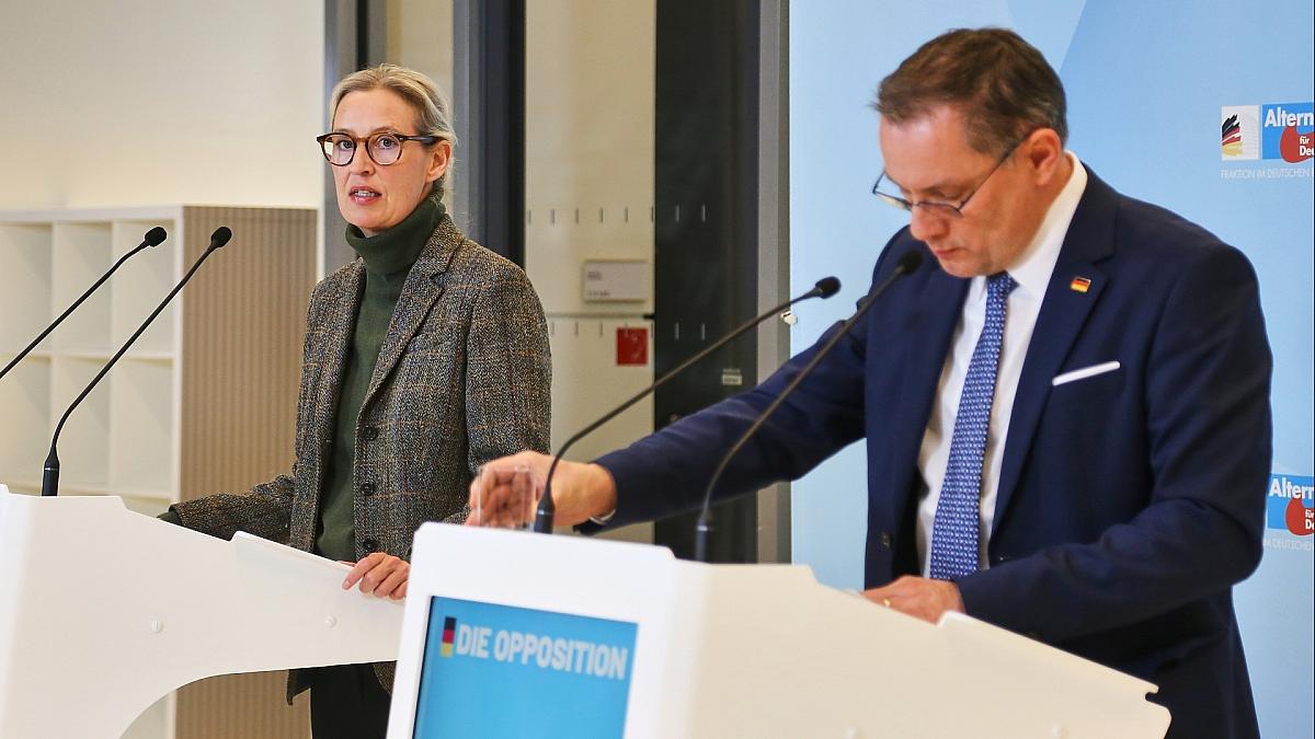 Politbarometer: AfD büßt ein - Grüne legen zu
