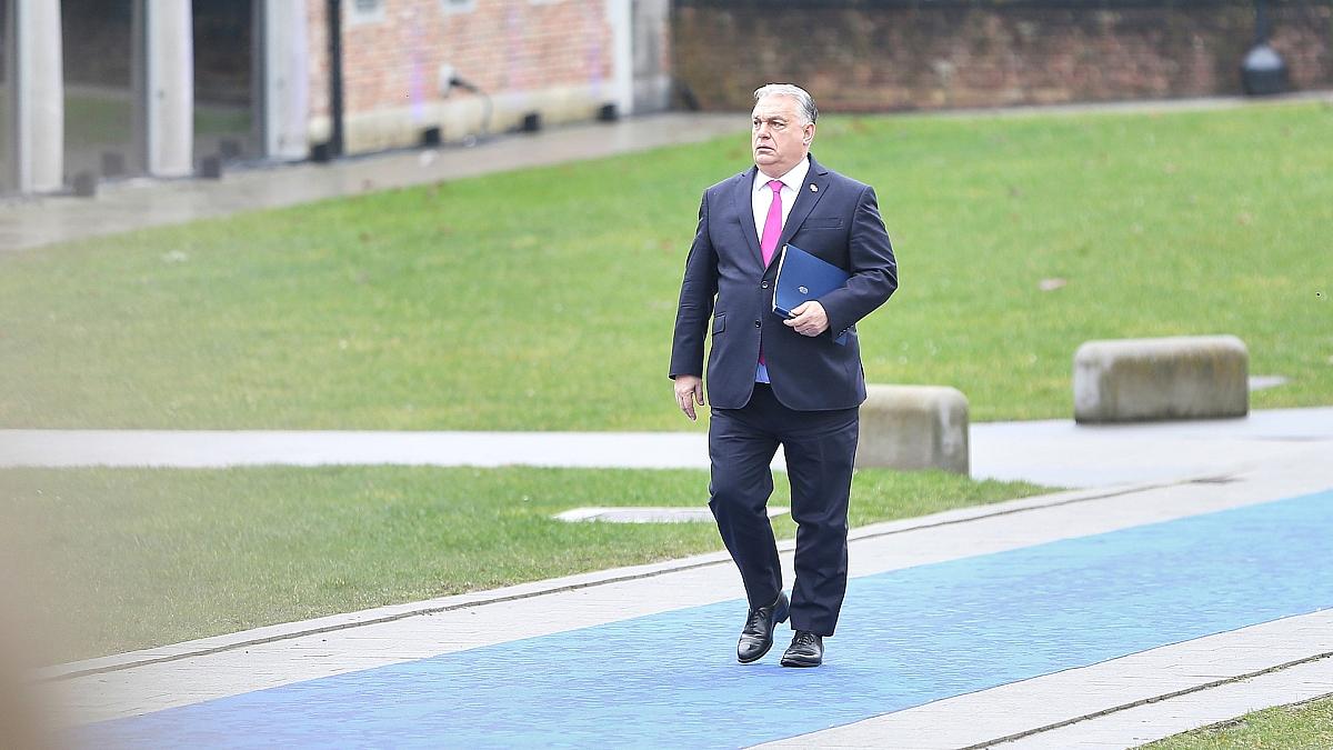 EU-Politiker fordern Stimmrechtsentzug für Ungarn