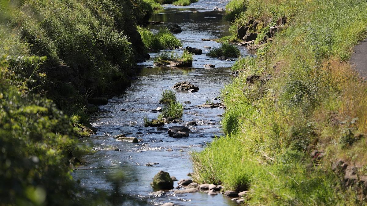 Umweltministerium startet Renaturierungsprogramm für Flussauen