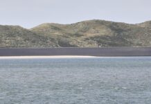 Bundesregierung plant fast eine Milliarde Euro für Küstenschutz ein Bundesregierung plant fast eine Milliarde Euro für Küstenschutz ein